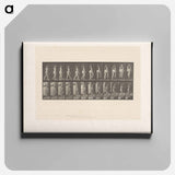 アートパネル-Ascending Nude
 - エドワード マイブリッジ Canvas.