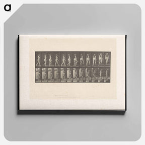 アートパネル-Ascending Nude
 - エドワード マイブリッジ Canvas.