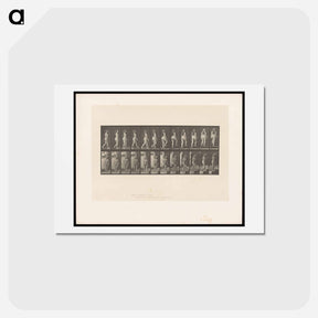 アートポストカード-Ascending Nude
 - エドワード マイブリッジ Postcard.