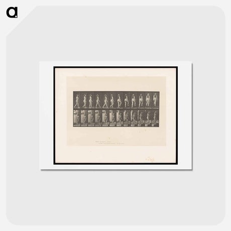 アートポストカード-Ascending Nude
 - エドワード マイブリッジ Postcard.