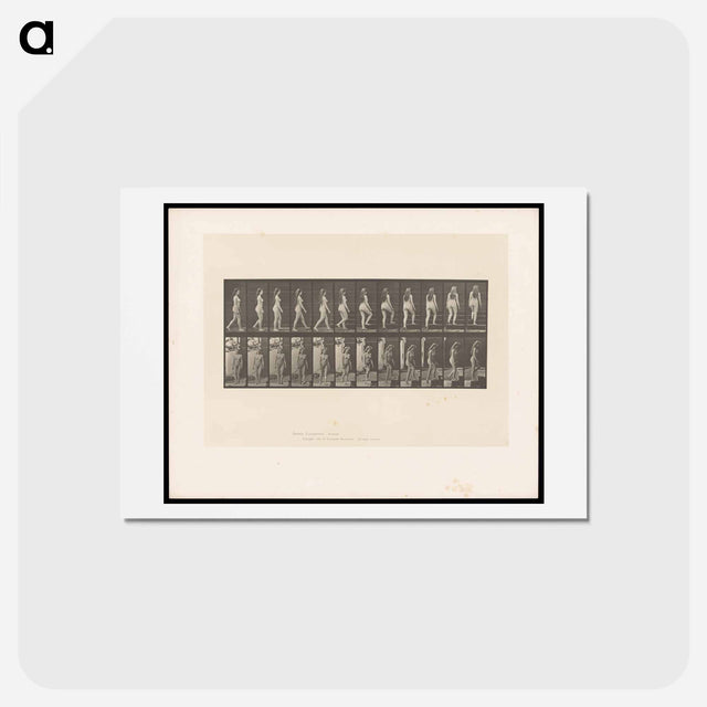 アートポストカード-Ascending Nude
 - エドワード マイブリッジ Postcard.