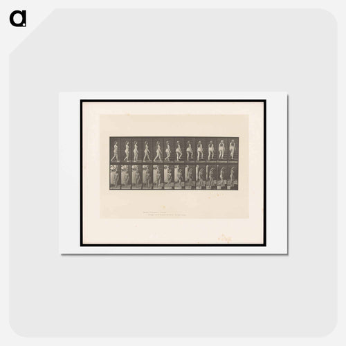 Ascending Nude
 - エドワード マイブリッジ Postcard.