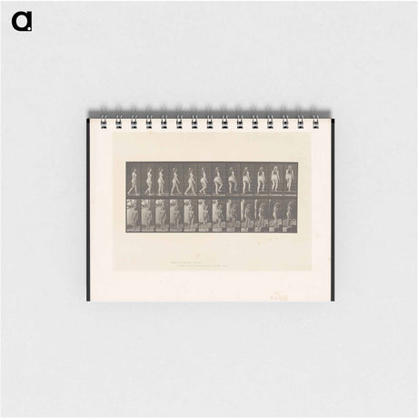 アートメモ帳-Ascending Nude
 - エドワード マイブリッジ Memo.