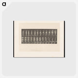 アートポストカード-Ascending Nude
 - エドワード マイブリッジ Postcard.