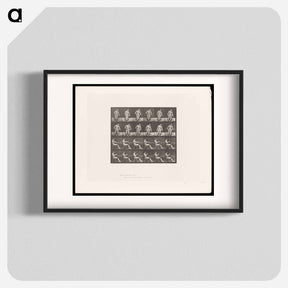 アートポスター-Convulsions
 - エドワード マイブリッジ Poster.