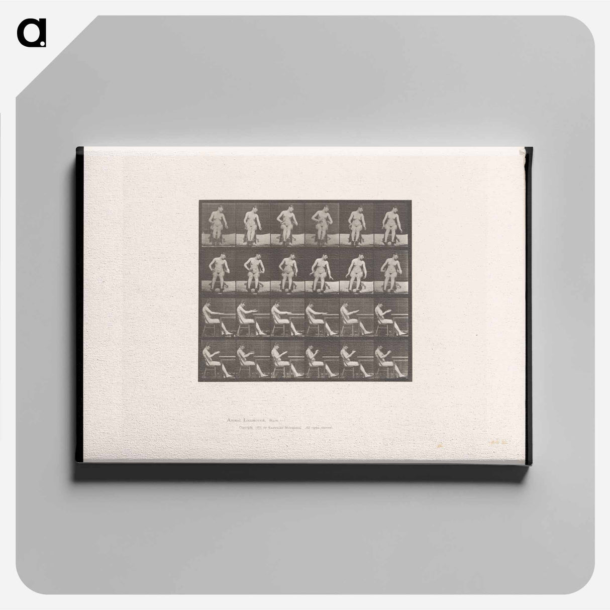 アートパネル-Convulsions
 - エドワード マイブリッジ Canvas.