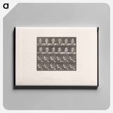 アートパネル-Convulsions
 - エドワード マイブリッジ Canvas.