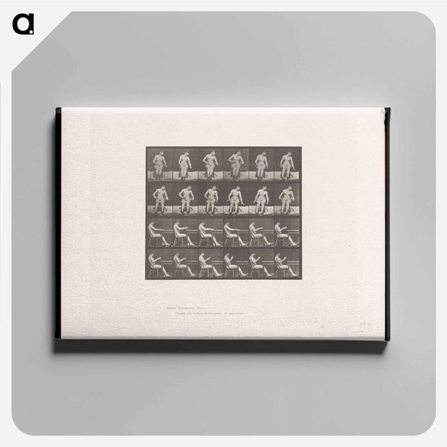 アートパネル-Convulsions
 - エドワード マイブリッジ Canvas.