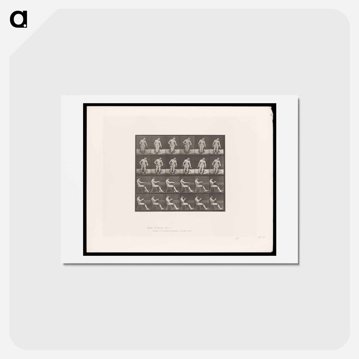 アートポストカード-Convulsions
 - エドワード マイブリッジ Postcard.