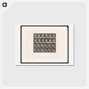 アートポストカード-Convulsions
 - エドワード マイブリッジ Postcard.