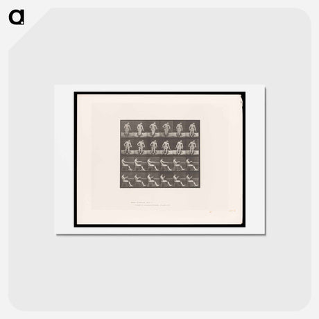 アートポストカード-Convulsions
 - エドワード マイブリッジ Postcard.