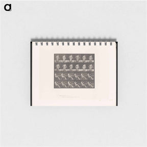 アートメモ帳-Convulsions
 - エドワード マイブリッジ Memo.