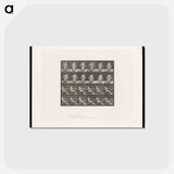 アートポストカード-Convulsions
 - エドワード マイブリッジ Postcard.