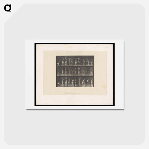 Water Bearer
 - エドワード マイブリッジ Postcard.