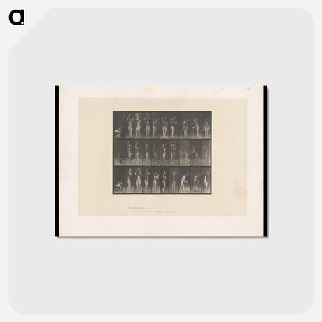 アートポストカード-Water Bearer
 - エドワード マイブリッジ Postcard.