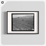 Untitled photo, possibly related to: Spreckels sugar factory and sugar beet field with Mexican and Filipino workers thinning sugar beets. - Dorothea Lange Poster.