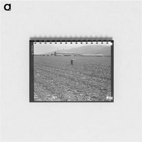 アートメモ帳-Untitled photo, possibly related to: Spreckels sugar factory and sugar beet field with Mexican and Filipino workers thinning sugar beets. - ドロテア ラング Memo.