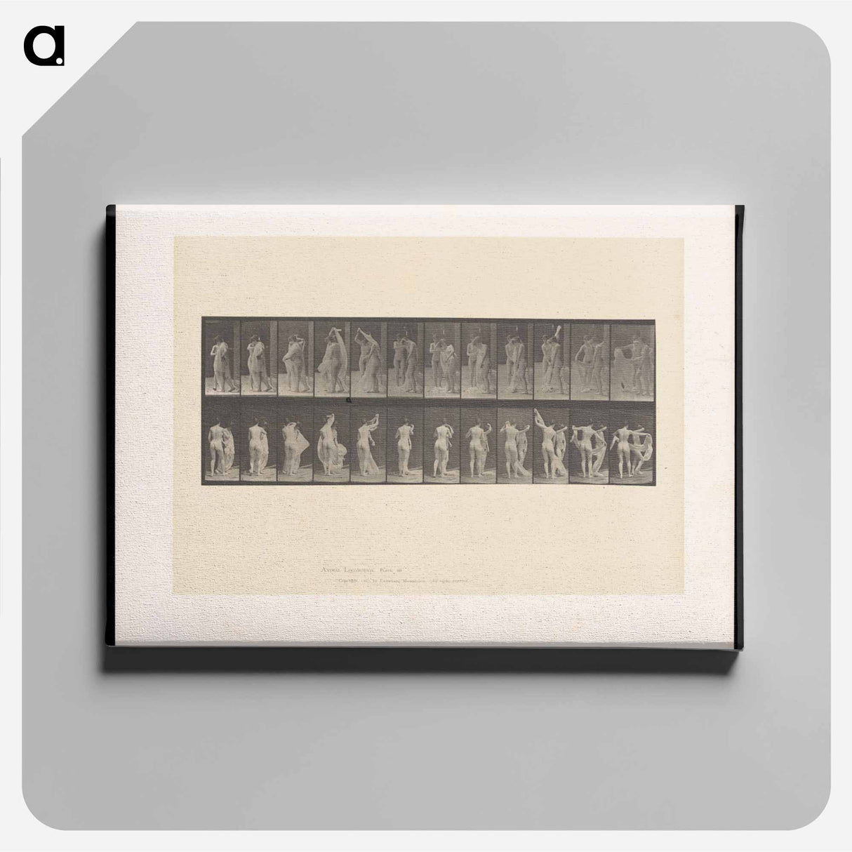 アートパネル-Unveiling
 - エドワード マイブリッジ Canvas.