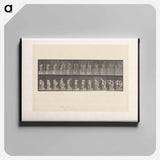 アートパネル-Unveiling
 - エドワード マイブリッジ Canvas.