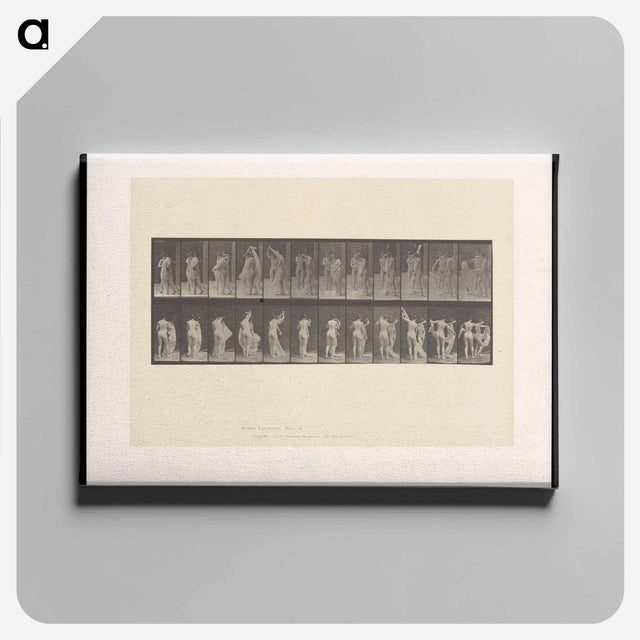 アートパネル-Unveiling
 - エドワード マイブリッジ Canvas.