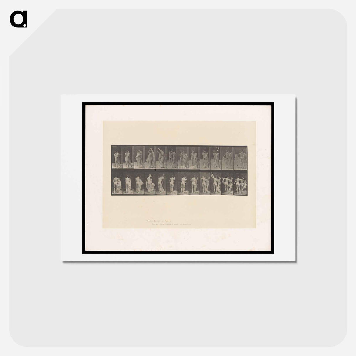 アートポストカード-Unveiling
 - エドワード マイブリッジ Postcard.