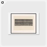 アートポストカード-Unveiling
 - エドワード マイブリッジ Postcard.