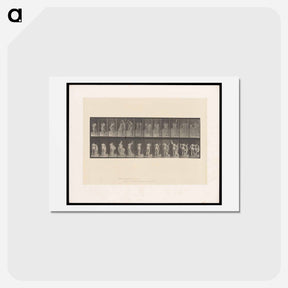 アートポストカード-Unveiling
 - エドワード マイブリッジ Postcard.