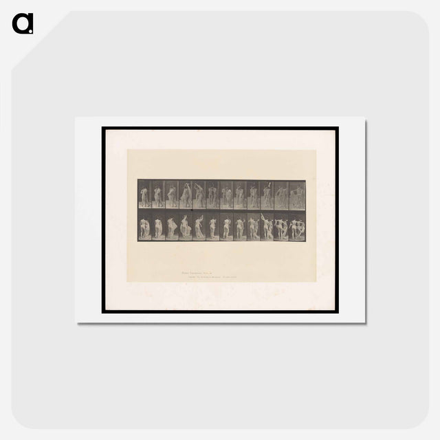 アートポストカード-Unveiling
 - エドワード マイブリッジ Postcard.