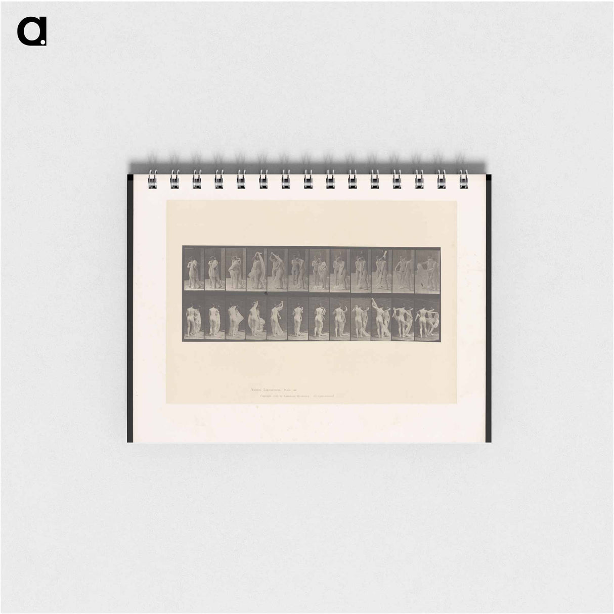 アートメモ帳-Unveiling
 - エドワード マイブリッジ Memo.