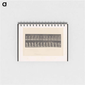 アートメモ帳-Unveiling
 - エドワード マイブリッジ Memo.