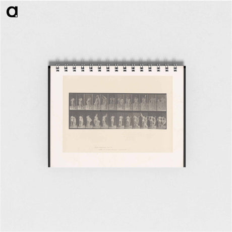 アートメモ帳-Unveiling
 - エドワード マイブリッジ Memo.