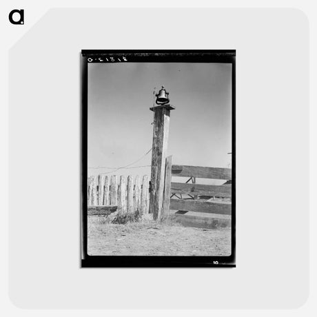 アートポストカード-Sugarcane Plantation Bell
 - ラッセル リー Postcard.