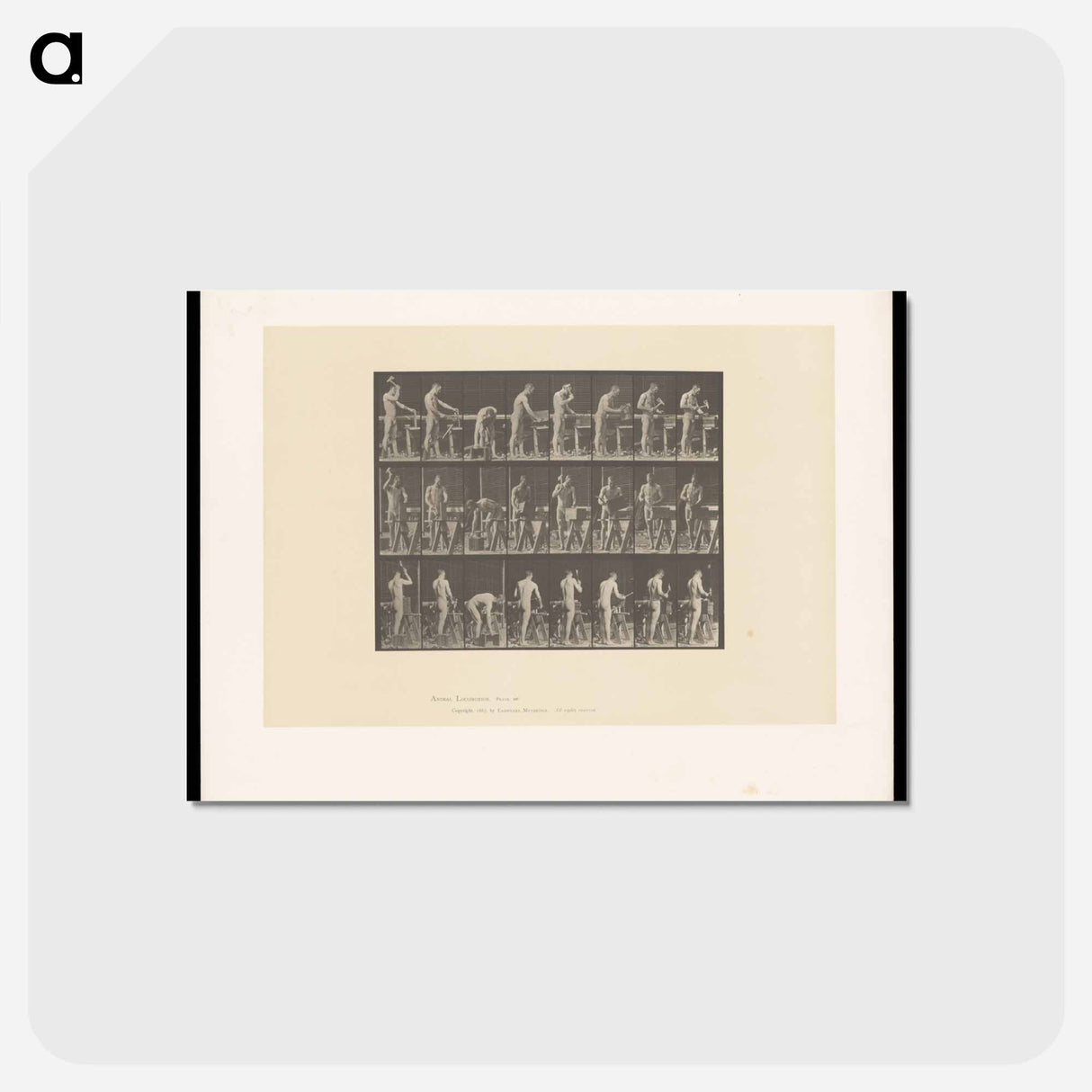 アートポストカード-Man at Work
 - エドワード マイブリッジ Postcard.