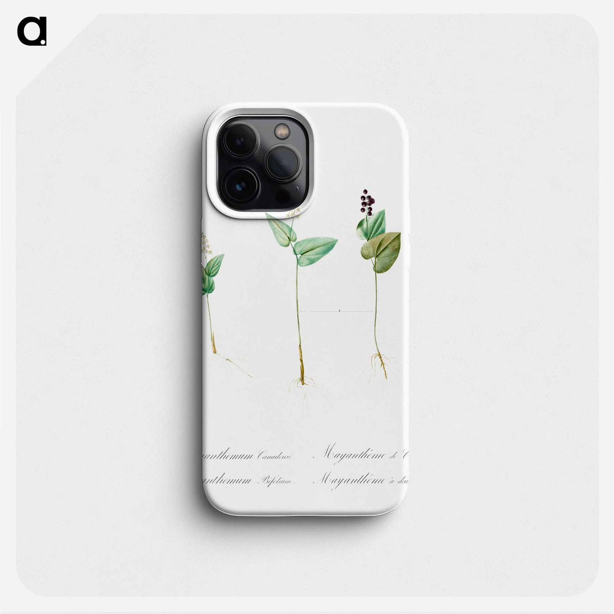 Mayanthemum - ピエール ジョゼフ ルドゥーテ Phone Case.