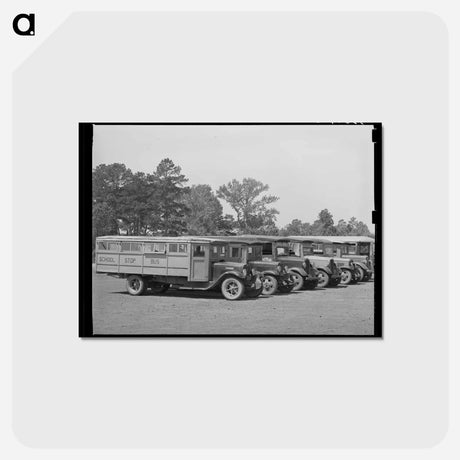アートポストカード-School Buses Near Wells, Texas
 - ラッセル リー Postcard.