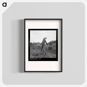 アートポスター-Untitled photo, possibly realted to: Scarecrow on a newly cleared field with stumps near Roxboro, North Carolina - ドロテア ラング Poster.