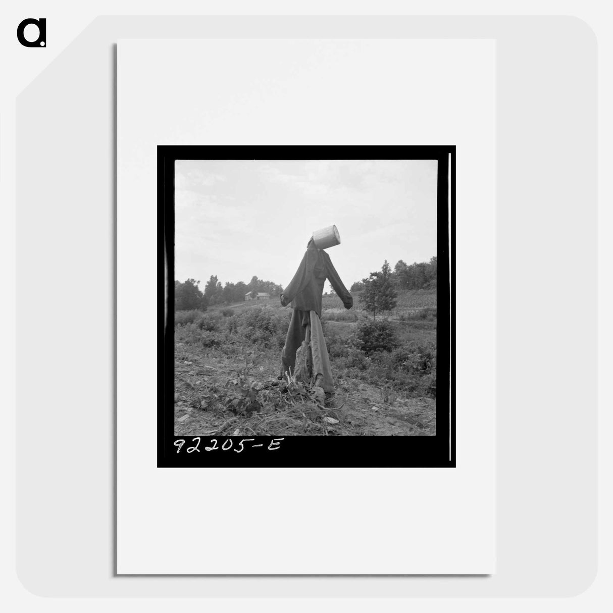 Untitled photo, possibly realted to: Scarecrow on a newly cleared field with stumps near Roxboro, North Carolina - Dorothea Lange Poster.