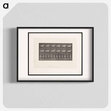 Naked Man on Horseback
 - エドワード マイブリッジ Poster.