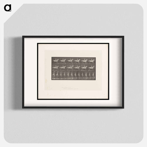 Naked Man on Horseback
 - エドワード マイブリッジ Poster.