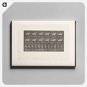 アートパネル-Naked Man on Horseback
 - エドワード マイブリッジ Canvas.