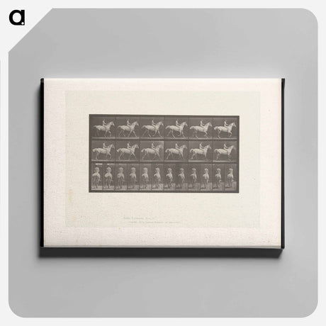 アートパネル-Naked Man on Horseback
 - エドワード マイブリッジ Canvas.