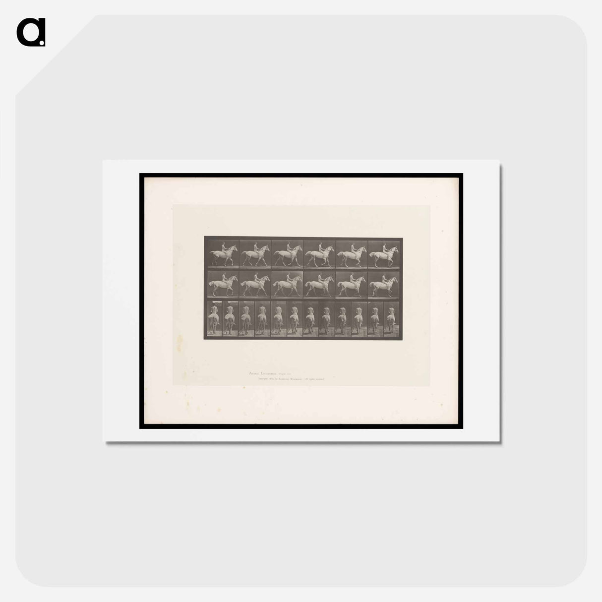 アートポストカード-Naked Man on Horseback
 - エドワード マイブリッジ Postcard.