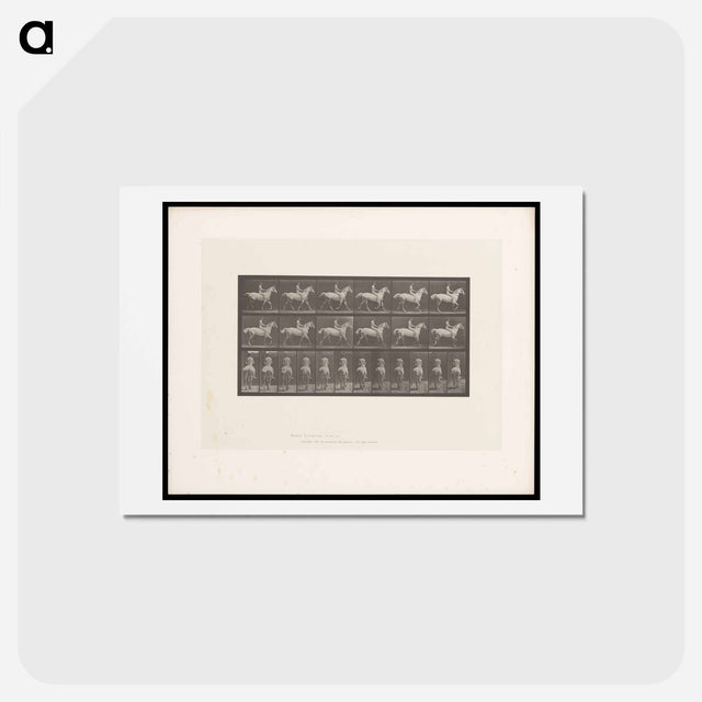 アートポストカード-Naked Man on Horseback
 - エドワード マイブリッジ Postcard.