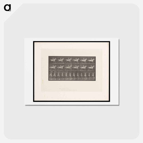 Naked Man on Horseback
 - エドワード マイブリッジ Postcard.