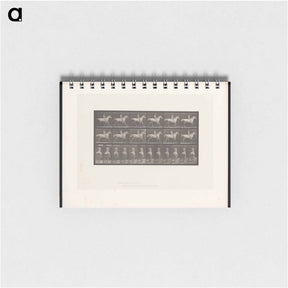 アートメモ帳-Naked Man on Horseback
 - エドワード マイブリッジ Memo.