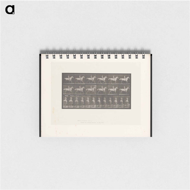 アートメモ帳-Naked Man on Horseback
 - エドワード マイブリッジ Memo.