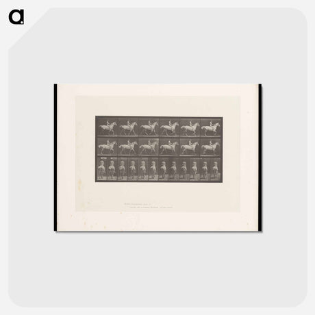 アートポストカード-Naked Man on Horseback
 - エドワード マイブリッジ Postcard.