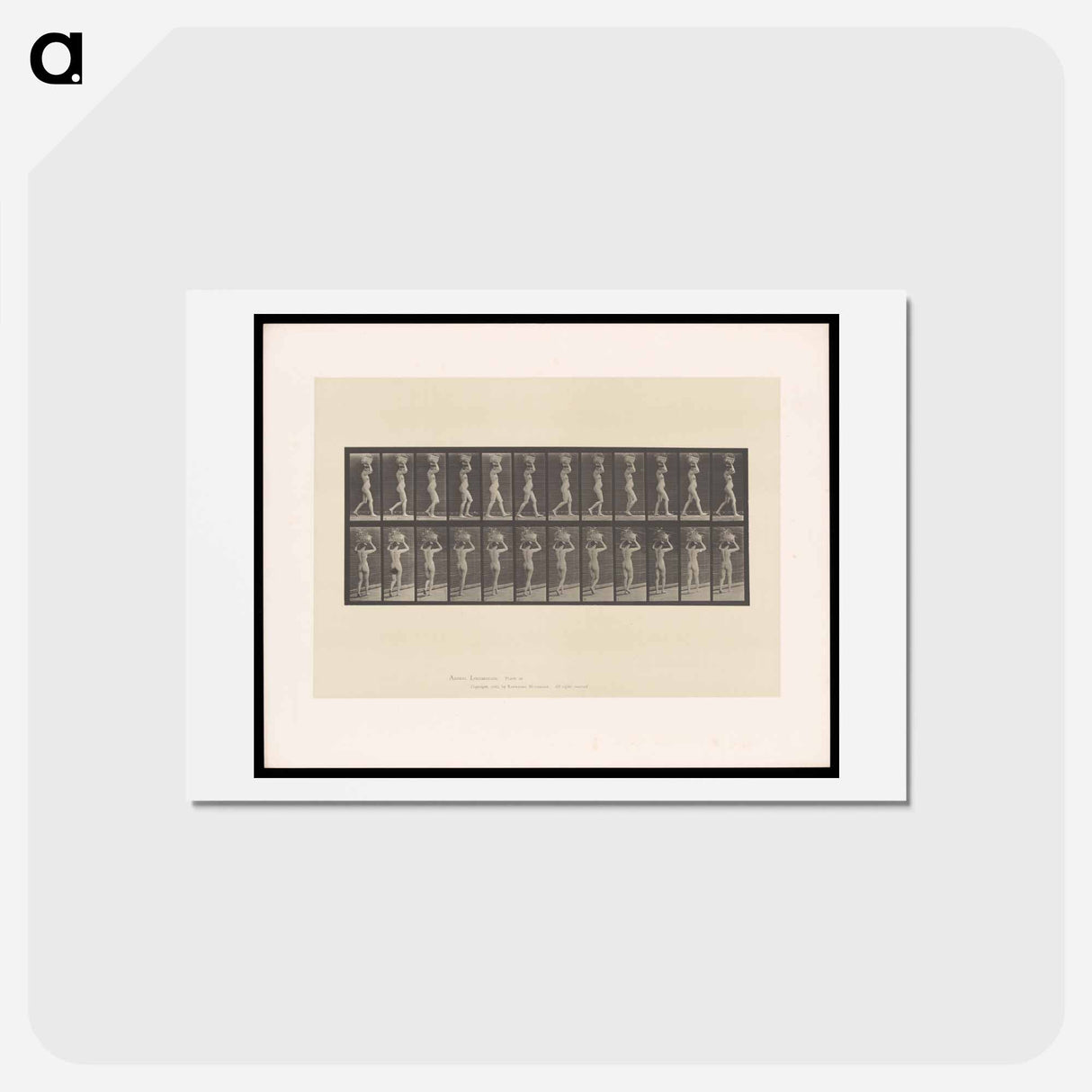 アートポストカード-Woman with Load
 - エドワード マイブリッジ Postcard.