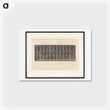 アートポストカード-Woman with Load
 - エドワード マイブリッジ Postcard.