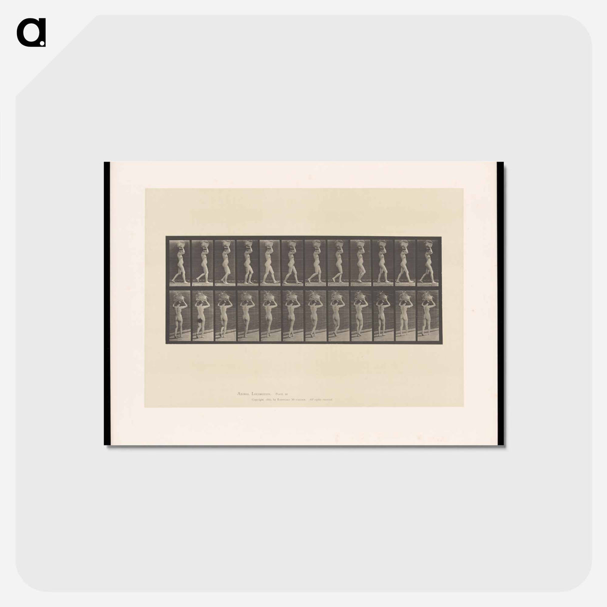 アートポストカード-Woman with Load
 - エドワード マイブリッジ Postcard.